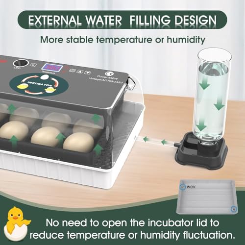 12 Egg Incubator - Automatic Egg Turner, Temperature Control, Built-in Candler, Auto Water Refill for Hatching Chicken, Duck, Quail & Bird Eggs
