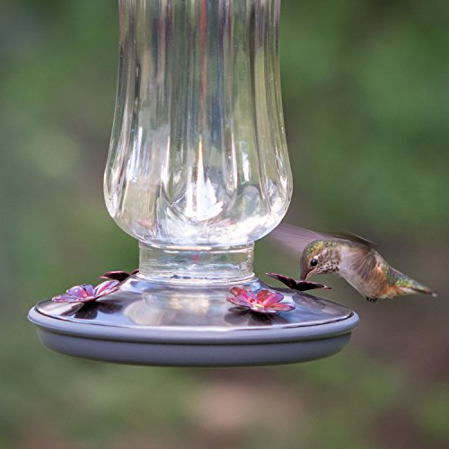 Perky-Pet Starglow Vintage Glass Hummingbird Feeder - 16 fl oz capacity - Humming Bird Feeder for Outdoors - 8132-2 - color: Irridescent, style: Vintage
