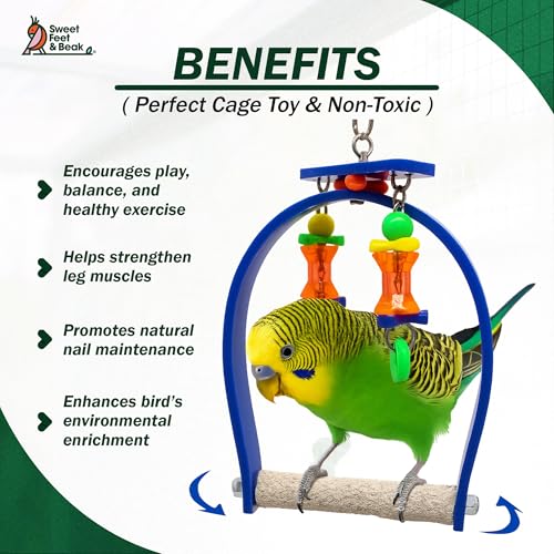 Sweet Feet and Beak Whirly Bird Swing, X-Small Indoor Pedicure Perch - size: Extra Small
