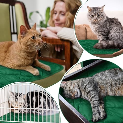 4 Pack Self Heating Cat Pad Self Warming Dog Mat Reflects Body Heat Extra Warm Thermal Pet Pad Washable Dog Cat Bed Crate Bed Mat Blanket(Dark Green,16 x 20 Inch) - color: Dark Green, size: 16 x 20 Inch