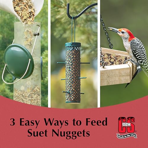C&S Wild Bird Peanut Suet Nuggets Mega Box, 8 Pounds - size: 8 Pound (Pack of 1)