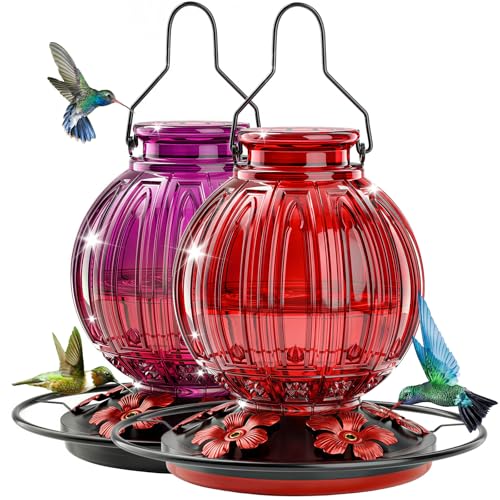2 Pack Glass Hummingbird Feeder for Outdoors Hanging, Bird Nectar Feeder with Perch & 5 Flower Feeding Ports, 26 Oz Leak Proof for Outside Garden Decor Backyard, Gifts for Women Mom, Red + Purple Red - color: Red + Purple Red
