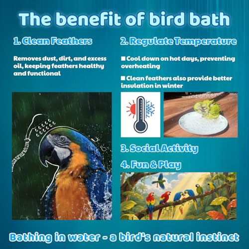Automatic Bird Bath, Parrot Shower with Circulating Water, White Pipe | Indoor Parrot Bath Cage Accessories with Circulation Pump for Parakeet Budgie Cockatiel Finches Cockatoo Conure Pet Bird - color: withe pipe