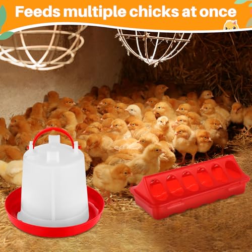 Funnymoom 12 Pack Chicken Feeder and Waterer Set Bird Small Poultry Feeder Flip Top Bird Small Poultry Feeding for Pigeon Chick Drinker Duckling Quail Feeding Dispenser(Red,6 Holes) - color: Red, style: 6 Holes