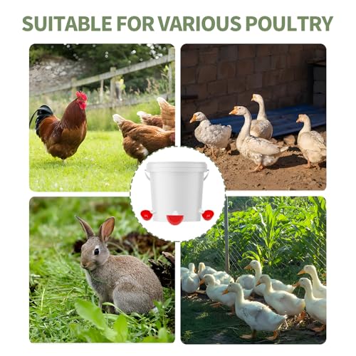10PCS Chicken Waterer Cups, Red Automatic Poultry Watering Cups, Tee Fittings Poultry Waterer with Mounting Hole Opener,Ideal for Chicken Coop, Ducks, and Backyard Poultry