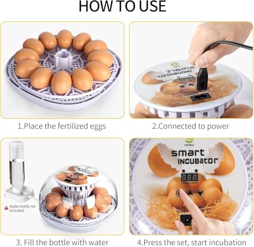 Egg Incubator, 12 Egg Capacity, Automatic Egg Turner, 360° Viewing, Temperature and Humidity Control, for Chicken, Duck, and Quail Eggs