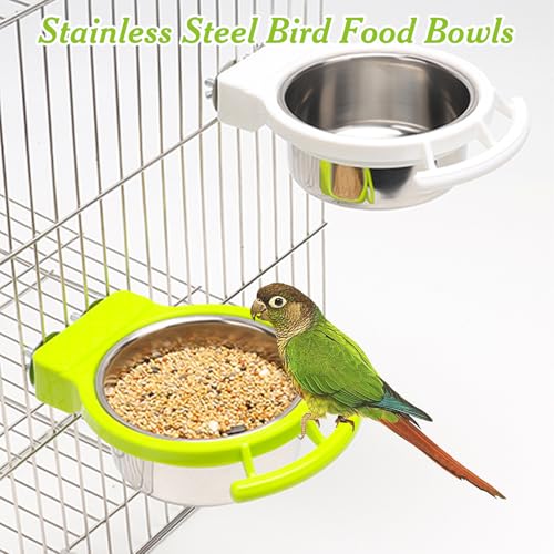BNOSDM 2 PCS Stainless Steel Bird Bowls Bird Feeding Dish Water Cups Perch Stand Hanging Parakeet Food Container Food and Water Bowls with Spoon for Budgie Cockatoo Finch Lovebirds (Green) - color: 2 Pcs Green