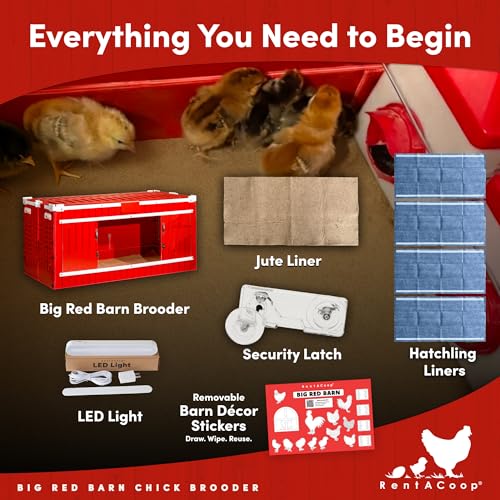 RentACoop Big Red Barn Chick Brooder