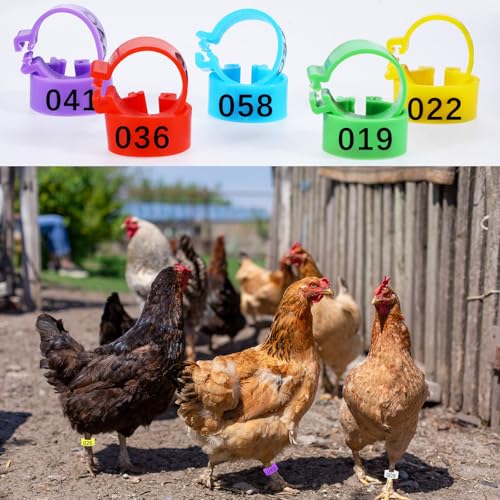 80 PCS Chicken Leg Bands, 1-80 Numbered Poultry Leg Bands 16mm Plastic Chicken Identification Rings, 8 Colors Coded Legs Band for Farmers Chickens Quail Chick Duck Bird