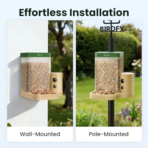 Smart Bird Feeder with Camera for Rookie, Camera Bird Feeder Dual Night Vision, AI Recognition IP66 Waterproof for BirdLovers, 1.3L Capacity - style: AI 7 Day Trial