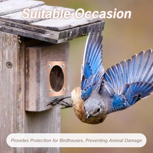 4 Pieces Birdhouse Predator Guard Copper Portal Metal Protector for Eastern Bluebird Houses 1 1/2 Inch Hole Guardian Baffle Mounting for Wren and Snake Defense(Rose Gold)