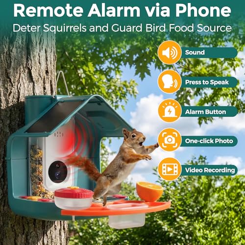 Smart Bird Feeder with Camera, Dual Solar Panel & 2K HD Live Streaming, AI Bird ID + Instant Alert, IP65 Weatherproof for Outdoor Garden Patio, Gift for Bird Lovers