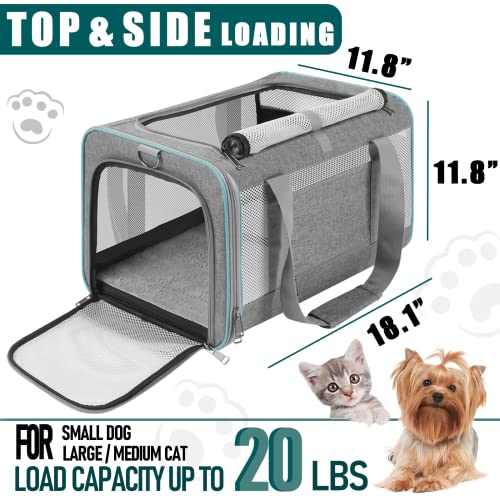 GAPZER Large Cat Carrier Soft, Collapsible Travel Pet Carry Bag, Small Dogs | Large Cats up to 20 lbs+ Maine Coon, Top Load Transport Small Puppy Dog Crate, Chihuahua Mini Dog 10lbs, Sturdy Mesh Grey - color: Grey