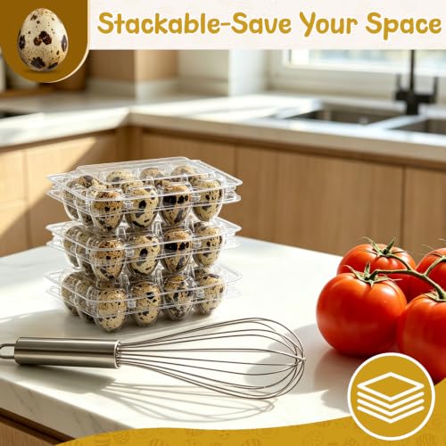 100 Pack Quail Egg Cartons, 12 Count Clear Egg Trays with Lids | Small Egg Storage Holders, Plastic Bulk Egg Boxes for Quail, Pheasant, Pigeon Refrigerator Storage and Display