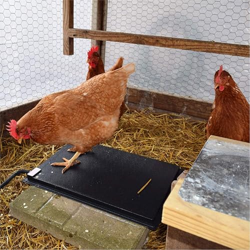 Farm Innovators HM-60P 19 x 13 Inch 60 Watt Heated Chicken Mat for Coops, Pens, and Nesting Areas | Thermostatically controlled ABS plastic mat can be mounted vertically or horizontally on a flat surface