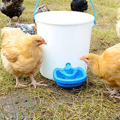 BEC MaxiCup Automatic Chicken Waterer Cup – Self-Filling Heated Poultry Drinker for Chickens, Ducks, Geese, Quail, and Small Animals – Gravity-Fed Chicken Waterer for Buckets & Tanks
