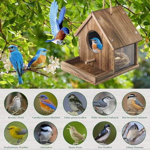DIY Wooden Hummingbird House Assembly Kit for Outside Hanging | Humming Bird House with Bird Feeder and Transparent Viewing Window for Outdoors, Great Garden Decoration Gift for Bird Lovers