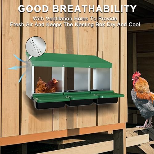 Eggluuz Chicken Nesting Box, 3 Compartments Chickens Egg Laying Nest Boxes for Hens Green - size: 3 Holes