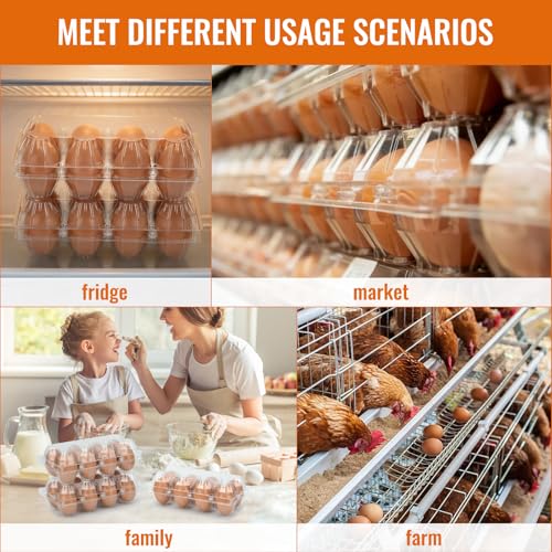 100 Pack Plastic Egg Cartons Cheap Bulk 8 Count, Clear Egg Trays 2x4 Grids | Comes with Date Tracking Stickers Egg Care Instructions, Reusable Egg Holder for Refrigerator, Family and Chicken Farm