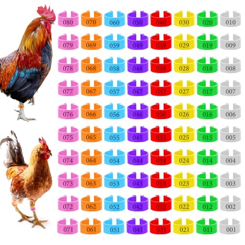 80 Pcs 16mm Chicken Leg Bands 8 Colors Chicken Bands 01-80 Numbered Chick Identification Tags Poultry Foot Tags for Duck Bantam Guinea Goose Gamefowl Rooster