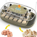 Incubators for Hatching Eggs Egg Incubator Chicken 360° Egg Candler Viewing for Chicken, Ducks, Goose, Pigeon, Quail 24 Eggs