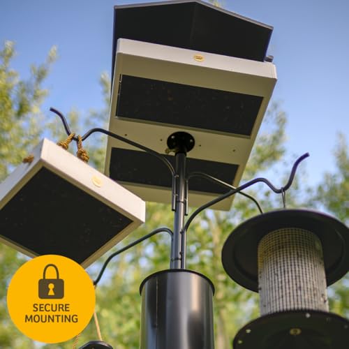 Birds Choice Mounting Flange for 1in Bird Feeder Pole | 3in Steel Disc | 1.0625in Center Opening, includes Thumbscrew and Screws for Secure Post or Deck Mounting