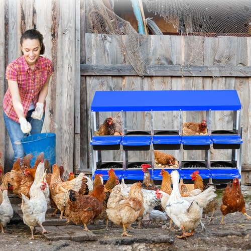 Chicken Nesting Box, 10-Hole Roll Away Egg Laying Box with Lid, Galvanized Steel Rustproof Design - Easy Egg Collection, Easy Clean (with Bracket Legs, Blue) - color: blue, size: 10 HOLES WITH LEGS