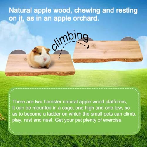 2Pcs Hamster Ledges Wooden Platform 2.6 x 6 Inch Rat Climb Platform Shelf Bird Perch Stand Toys Cage Accessories for Rat Gerbil Suger Glider - size: 6 × 2.6''