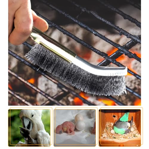 QBLEEV 3 Pack Bird Cage Brush, Long Handle Poop Off Birdcage Cleaner Brush | Wooden & stainless steel bird cage cleaning brushes set, universal cage scraper, durable parrot poop remover accessories
