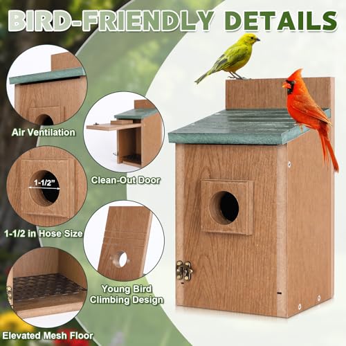 Gtongoko Recycled Plastic Bluebird Houses for Outside 1-1/2" Entrance Green | Predator Guard, Elevated Mesh Floor, Climbing Grooves, Clean-Out Door, Air Ventilation for Bluebirds, Swallows & Chickadees - color: Green & Brown-1 Pack