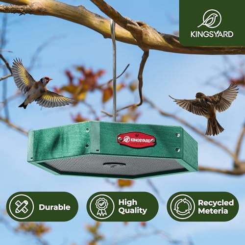 Kingsyard Hanging Platform Bird Feeder for Outdoors, Deep Tray, Green | Weather-Resistant Recycled Poly Lumber, Fast-Draining Metal Mesh Base, Easy to Clean, Holds Up to 3 lb of Seed - color: Green