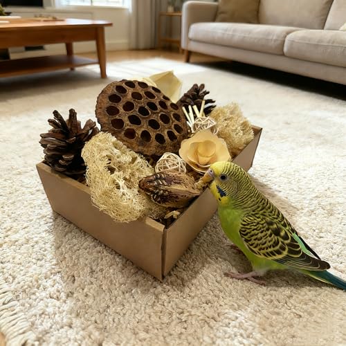 Bird Toys - Lotus Pod Foraging Box, 10 Natural Ingredients | Chewing and Shredding Parrot Toys | Ideal for Parakeets/Cockatiels/Conures/Lovebirds and Small to Medium Birds - size: Lotus Pod Foraging Box