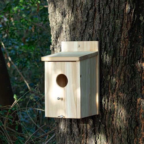 Wooden Bird Houses for Outside Birdhouses Nest Bluebird House for Cardinals Finch Wren Swallow for Garden Viewing 1A# - size: 5inch×5inch×9inch