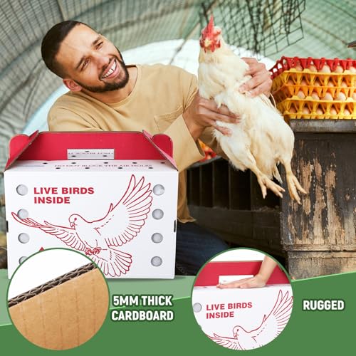 15 Pack Single Live Chicken Shipping Boxes 17.5 x 8.5 x 11.5" Live Bird Shipping Boxes Cardboard Pet Carrier with Handle for Poultry, Pigeons, & Canaries(Red) - color: Red