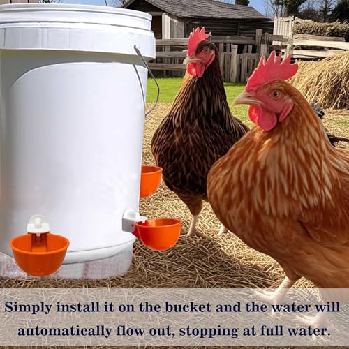 Chicken Automatic Waterer Cups, 6pcs Large Water Feeder for Poultry Caring | Self Watering Device for Chicken, DIY Poultry Waterer Kit for Duck, Chick, Goose, Turkey, Bunny, Bird, Poultry Drinking Valve
