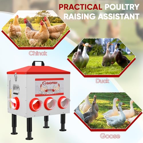 55 lbs Large Capacity Automatic Chicken Feeder - 8 Feeding Ports, No Waste Chicken Feeder, Height-Adjustable Legs & Secure Locking Lid for Chickens, Ducks & Poultry
