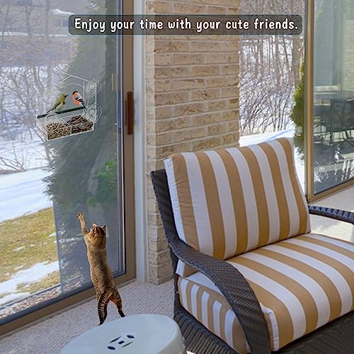 Acrylic Window Bird Feeder with 4 Strong Suction Cups, Clear and Transparent Bird House, Removable Food Tray with Drain Holes, Easy Install and Clean for Backyard and Viewing