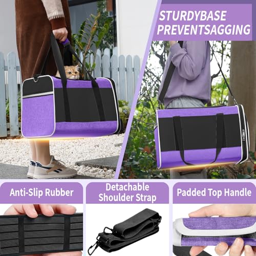 GAPZER Large Cat Carrier Soft, Collapsible Travel Pet Carry Bag, Small Dogs | Large Cats up to 20 lbs+ Maine Coon, Top Load Transport Small Puppy Dog Crate, Chihuahua Mini Dog 10lbs, Sturdy Fabric Pueple - color: Purple