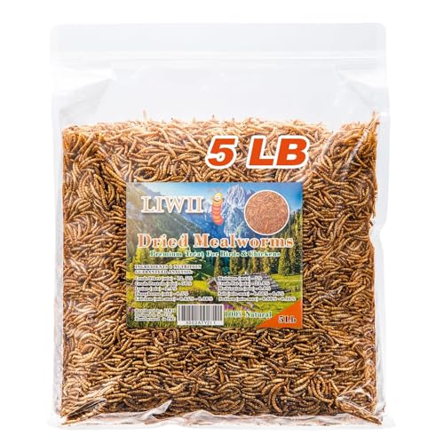 5LB Dried Mealworms for Chickens, Laying Hens, Ducks & Wild Birds | 100% Natural Non-GMO Whole Mealworms, Supports Feather Health & Molting, Resealable Bulk Bag for Daily Flock Feeding