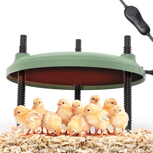 Brooder Plate for Chicks,12inch Metal Heating Plate,Perfectly Adjustable Height & Angle, 35W Chick Warmer for Brooding Newborn Chicken Duckling Quail,Chicken Coop Heater, Warming Puppy Cats