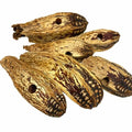 Bonka Bird Toys 3410 Drilled Mahogany Pods Shreddable Foraging Bird Toy with Natural Materials Hanging Cage Toy 9" for Small to Medium Parrots Conure Cockatiel Budgie Chewing Enrichment (Pack of 6) - size: Pack of 6