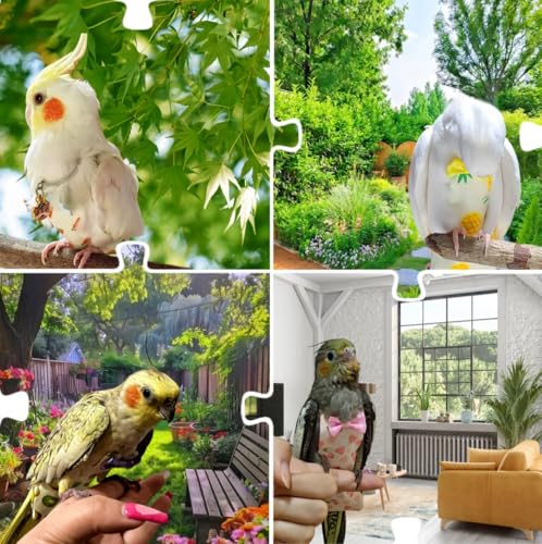 5 Pcs Bird Diapers Bird Harness Flight Suits Diapers Reusable Parrot Nappy with Waterproof Inner Layer Washable Cute Urine Wet Suit for Cockatiel Budgie Conure Macaw Parakeet Lovebird,M - size: M
