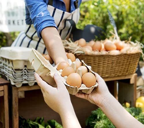 30 Pack Half Dozen Egg Cartons, Natural Pulp Egg Carton Bulk 6 Count for Chicken Eggs and Small Duck Eggs, Reusable, Protects, Egg Storage Containers for Home Kitchen and Farmhouse (30 PCS 6 Count) - color: 30 PCS 6 Count