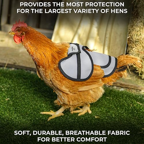 COOPED UP Canvas Chicken Saddle for Medium-Large Hens with Larger Wing Cover and Adjustable Straps - Teal - color: Teal