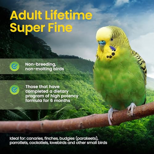 Harrison's Bird Foods Adult Lifetime Certified Organic Non-GMO Formula Small Bird Food 1lb - size: 1 Pound (Pack of 1)