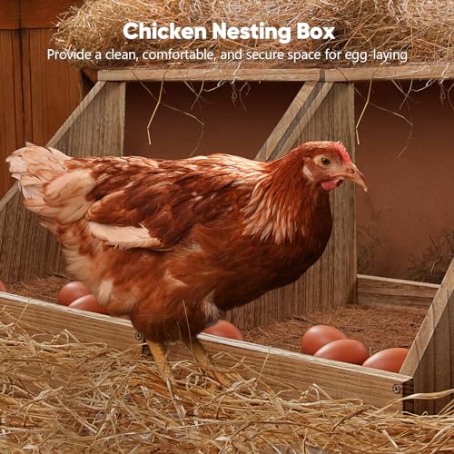 2 Pack Chicken Nesting Box, Wooden Chicken Coop, Chicken Coop Accessories, Chicken Laying Nest Box for Poultry Farm, Poultry Nesting Boxes with Nest Box Pads