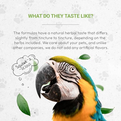 Birds Respiratory | Natural Herbal Dietary Pet Supplement for Birds | Healthy Respiratory System Support | Alcohol-Free Extract, Horehound, Linden, Peppermint, Elder Flowers, Fennel 2 oz - style: Respiratory