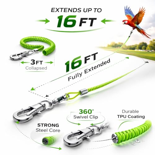 Parrot Bird Harness Leash Anti-bite Outdoor Flying Training Rope with 5pcs Different Sizes of Soft Foot Loops and Training Whistle(Upgraded Version of Ankle Ring)