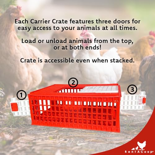 RentACoop Stackable Poultry Carrier Crate (Pack of 4) - size: Pack of 4, 29.0"L x 22.0"W x 12.0"H