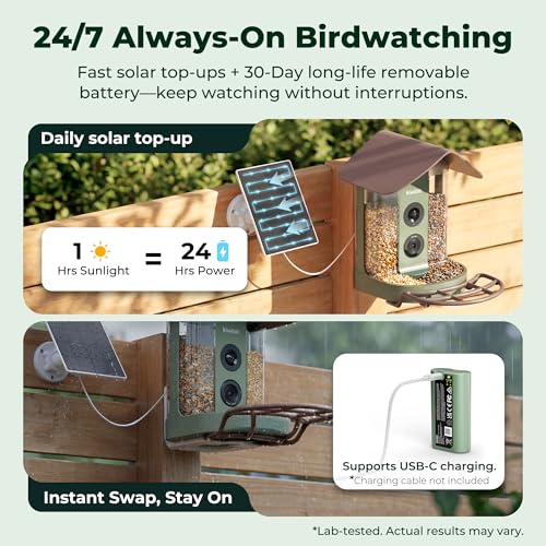 Smart Bird Feeder with 4K AI Camera Solar Powered, No Subscription | Lifetime AI Identification Bird Species, 4K Live Stream, 8MP Photos, Real-Time Bird Visit Alert, Backyard Birdwatching Gift - color: Brown